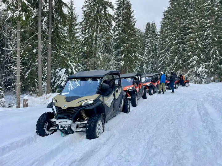Poza 2 — Buggy Colibița