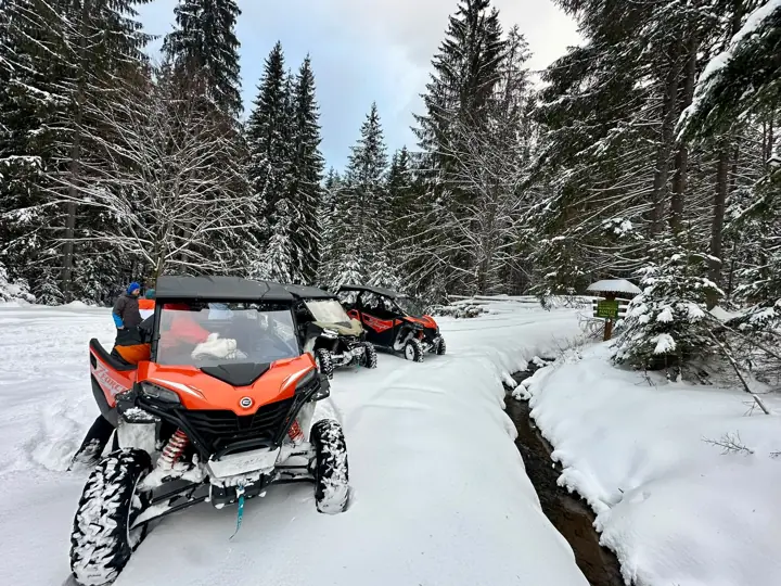 Poza 5 — Buggy Colibița