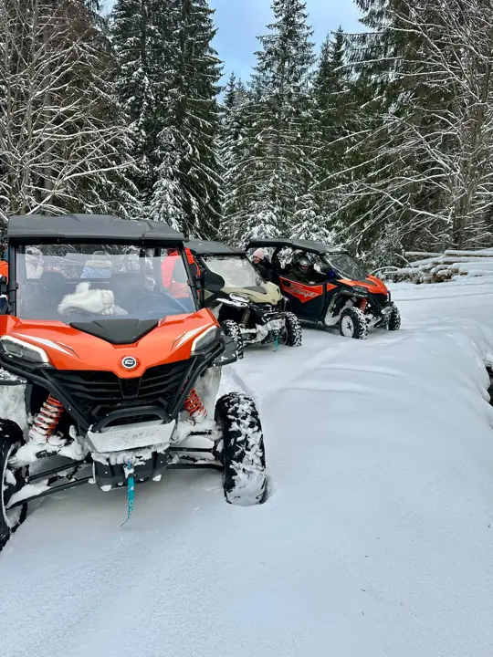 Poza 6 — Buggy Colibița