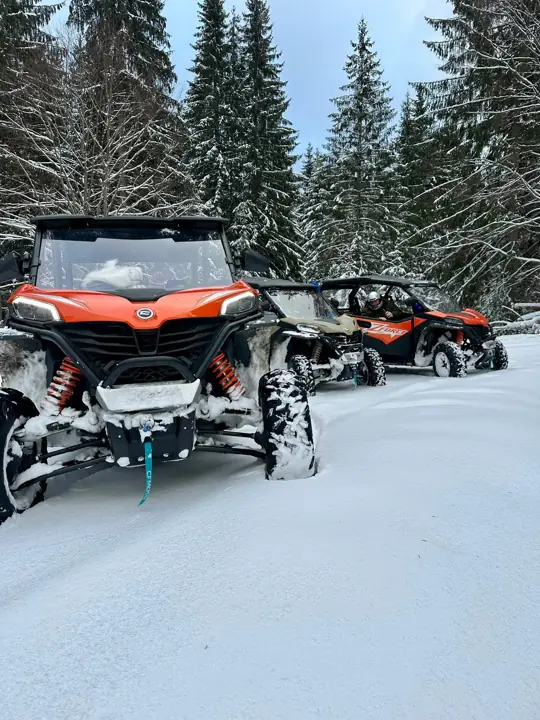 Poza 9 — Buggy Colibița