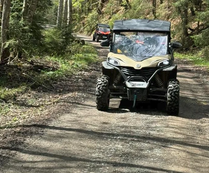Poza 18 — Buggy Colibița